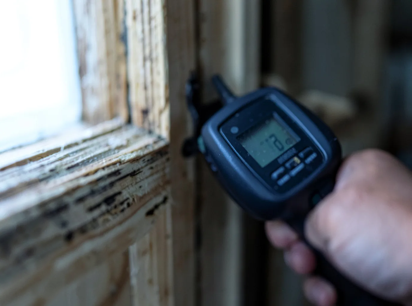 Moisture Inspection And Documentation in Sanford, TX